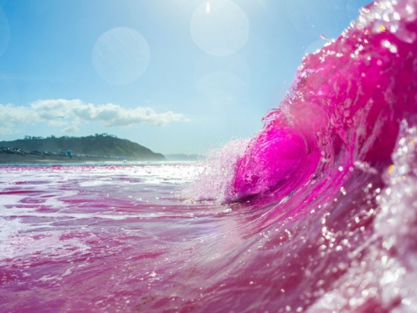 The waves of San Diego dyed pink for tracking